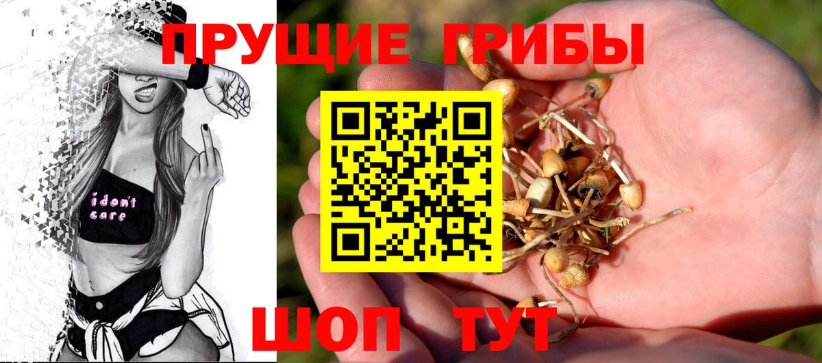 Галлюциногенные грибы мухоморы Лениногорск